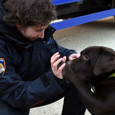 Devetogodišnji pas Gizmo i njegova trenerica Nika Markoč otišli su u potresom pogođeni turski grad Gaziantep - 4