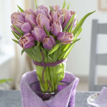 Tulipan nosi značenje savršene ljubavi