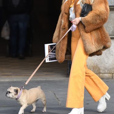 Borna Kotromanić na zagrebačkoj špici - 1