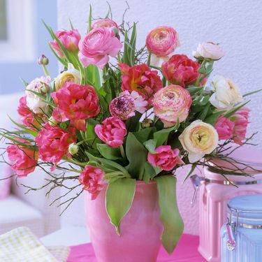 Tulipani i ranunkule izgledaju raskošno