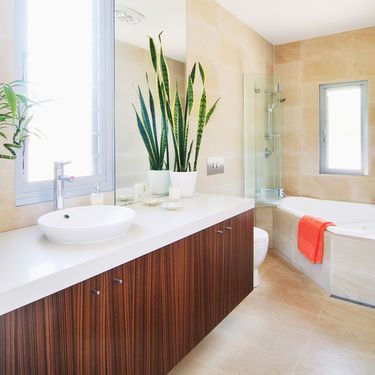 Svekrvin jezik u kupaonici