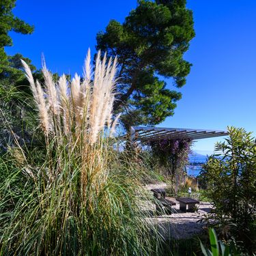 Botanički vrt u Park-šumi Marjan spreman je za otvaranje - 7