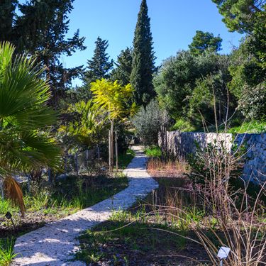 Botanički vrt u Park-šumi Marjan spreman je za otvaranje - 9