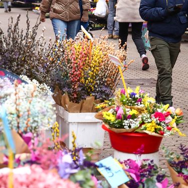 Cvijeće na splavnici
