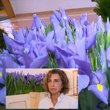 Arhitektica i floristica Boška Bahtijarević