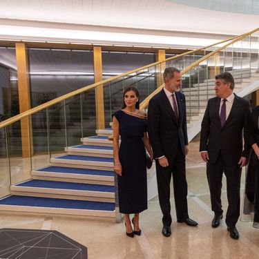 Plave stepenice u Predsjedničkim dvorima