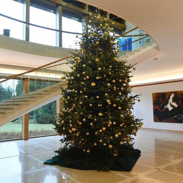 Plave stepenice u Predsjedničkim dvorima