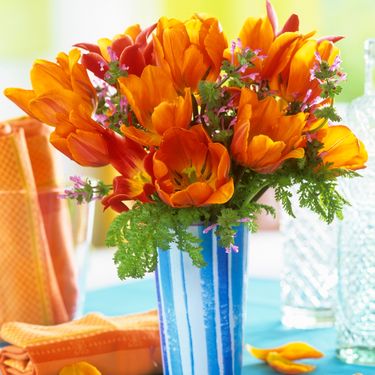 Narančasti tulipani simbol su sreće i vitalnosti