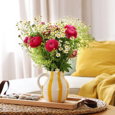 Ranunkula je cvijet godine