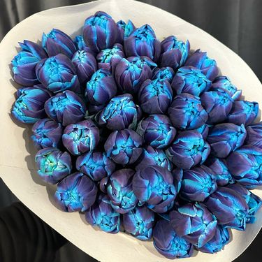 Željko Alar u svojoj cvjećarnici u Velikoj Gorici ima plave tulipane - 5