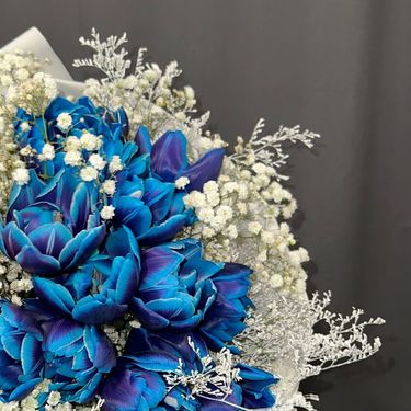 Željko Alar u svojoj cvjećarnici u Velikoj Gorici ima plave tulipane