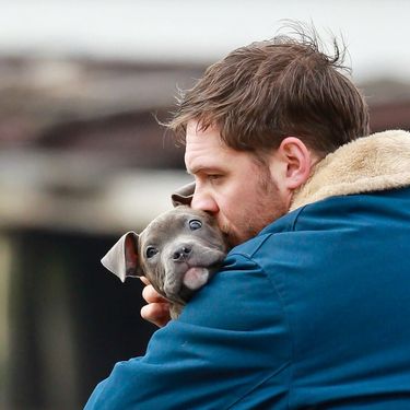 Tom Hardy zaljubio se u preslatkog pitbula na setu filma The Drop