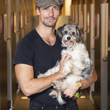 David Gandy i njegova Dora