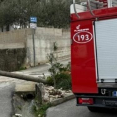 Bizarna nezgoda u Dalmaciji