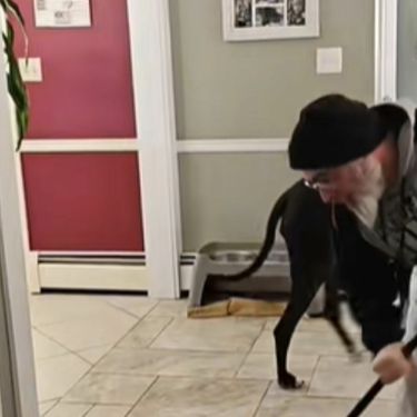 Igranje curlinga u vlastitom domu