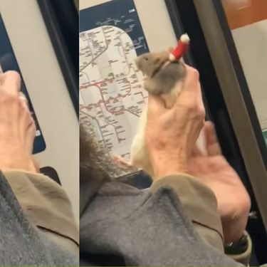 Muškarac sa štakorom u pariškom metrou