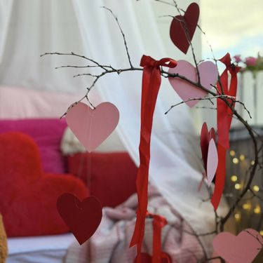 Balkon Cvetanke Belički iz Skoplja - 5