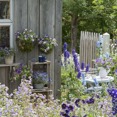 Odaberite pravu boju cvijeća za mali vrt - 1