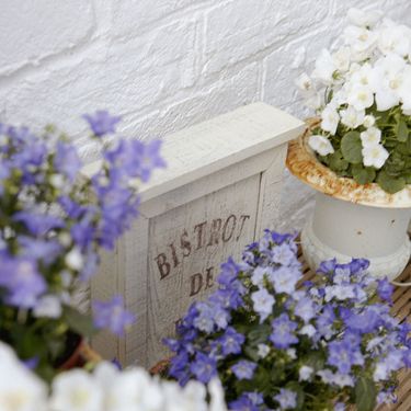 Odaberite pravu boju cvijeća za mali vrt - 2