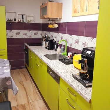 Svijetlozelena kuhinja Željke Čolaković iz Okešinca nadomak Ivanić Grada malo je carsto veselja i pozitive - 7