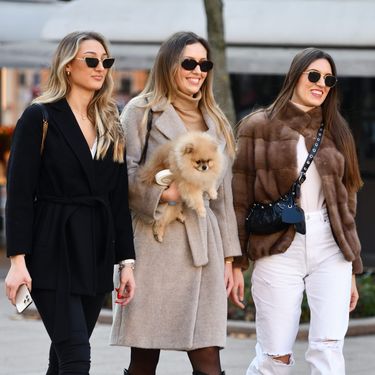 Trio sa zagrebačke špice