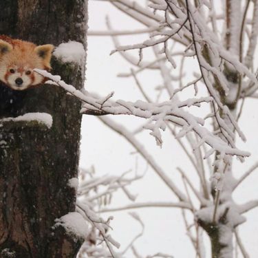 U Zoološkom vrtu Grada Zagrebu do kraja veljače održavat će se Egzotične subote - 7