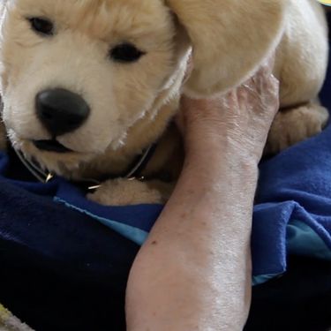 Robotski psić Jennie društvo je osobama koje boluju od Alzheimerove bolesti - 3