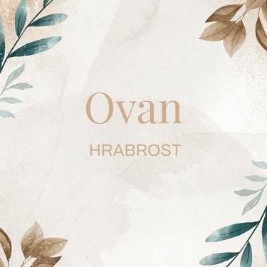 Rečenice koje će obilježiti svaki znak u 2026.