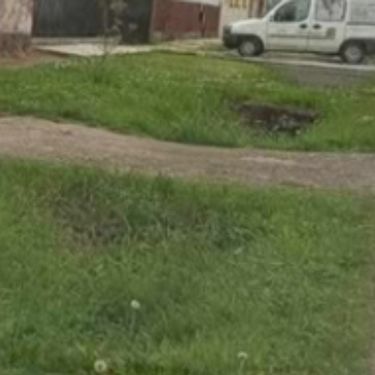 Popravljanje automobila okrenutog na bok