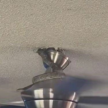 Zmija na ventilatoru