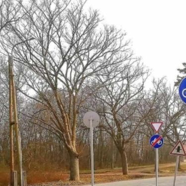 Bizarna biciklistička staza u Mađarskoj