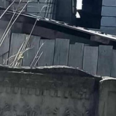 Bizaran način gradnje kuće na Balkanu