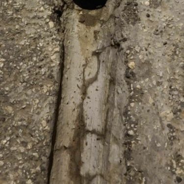 Neobičan detalj na slivniku u dvorištu