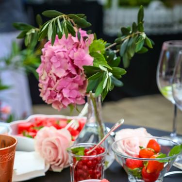 Oleander terasa hotela Esplanade Zagreb - 15