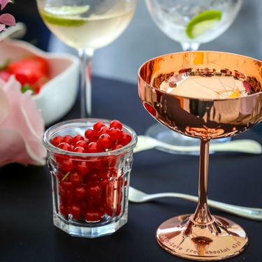 Oleander terasa hotela Esplanade Zagreb - 16