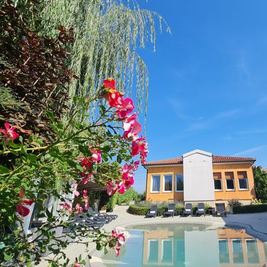 Villa Franka u Nedešćini u Istri ima bazen prirodnog izgleda i cvjetnu aleju s preko 150 biljaka - 7