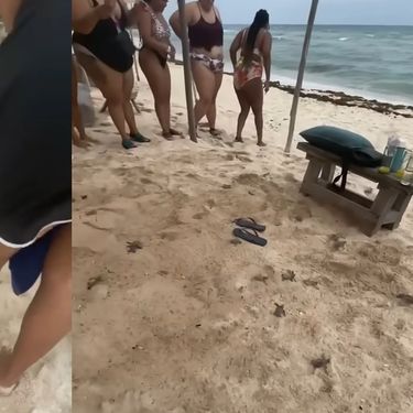 Kornjače na plaži