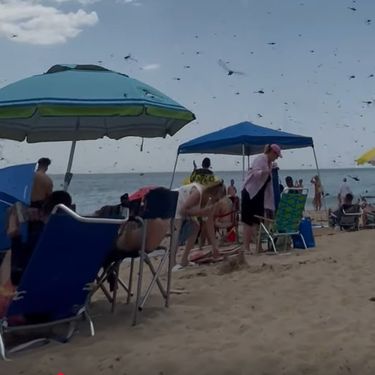 Najezda na plaži