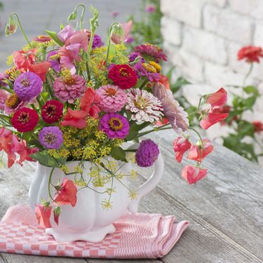 Cvijet cinija jedan je od najljepših i najzahvalnijih cvjetova za vrt - 7