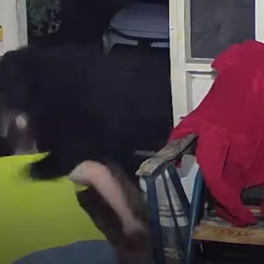 Obračun s medvjedom
