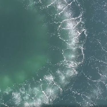 Metoda lova kitova u oceanu