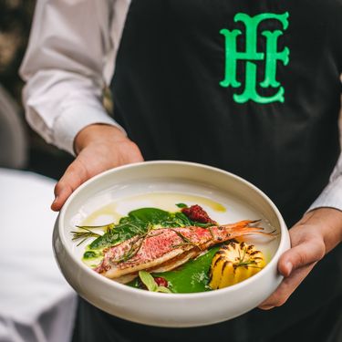 Trilja, kora od sušene rajčice, velouté od bosiljka