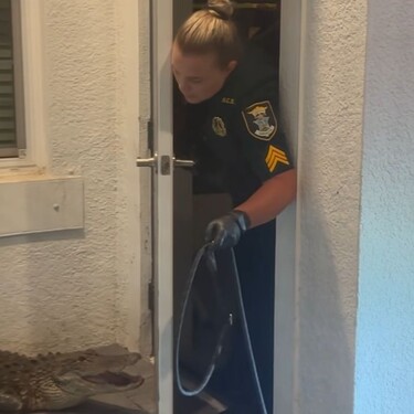 Policajka i aligator