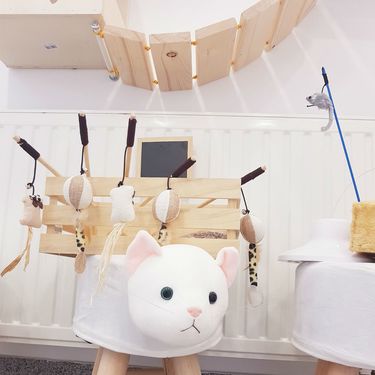 Prvi hotel za mačke u Hrvatskoj otvoren je u Dugom Selu - 12