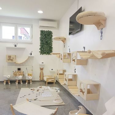 Prvi hotel za mačke u Hrvatskoj otvoren je u Dugom Selu - 14