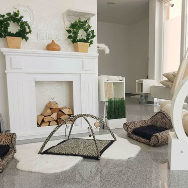 Prvi hotel za mačke u Hrvatskoj otvoren je u Dugom Selu - 15