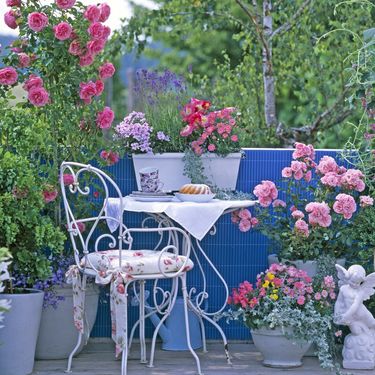 Predivan ružičnjak možete urediti i na balkonu - 1