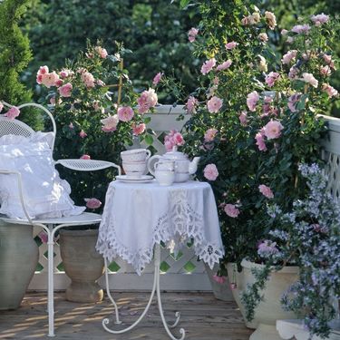 Predivan ružičnjak možete urediti i na balkonu - 4