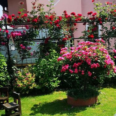 Dvorište Vesne Muže iz Petrinje jedno je od najljepših u tom kraju - 16