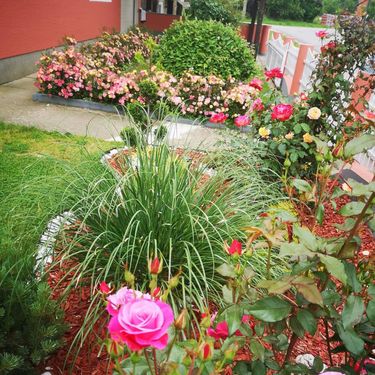 Dvorište Vesne Muže iz Petrinje jedno je od najljepših u tom kraju - 19